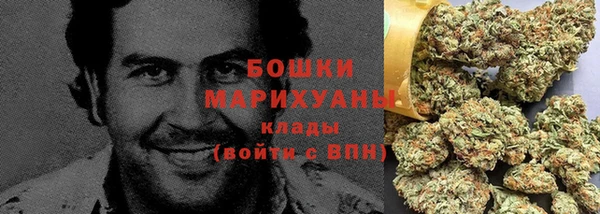 гашик Арсеньев
